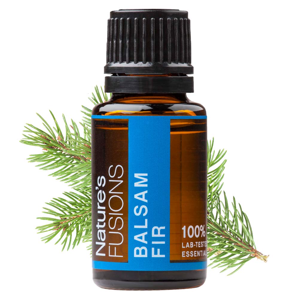 balsam fir essential oil 15 ml bottle with needles