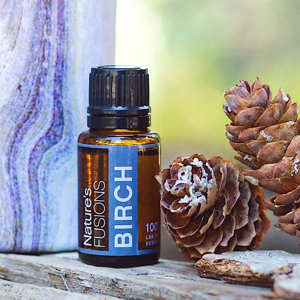 birch essential oil tree cones photo