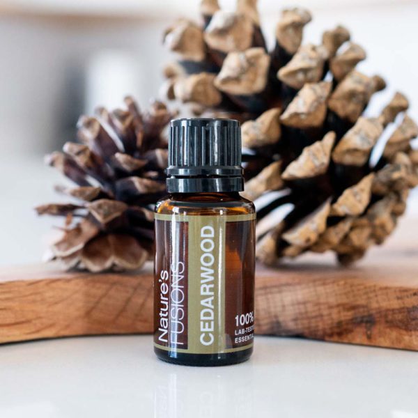 cedarwood essential oil pinecones photo
