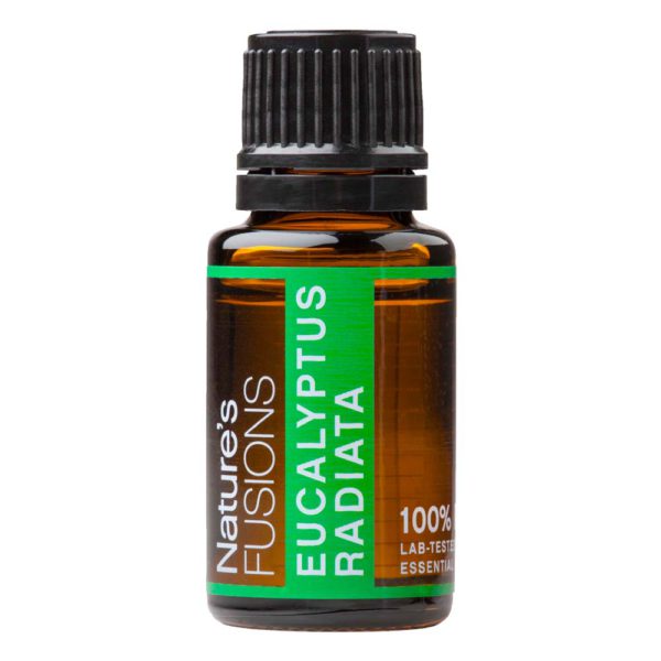 Nature's Fusions eucalyptus radiata essential oil 15 ml