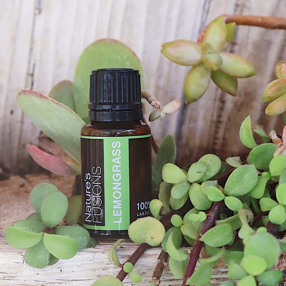 lemongrass essential oil with succulents by wood fence