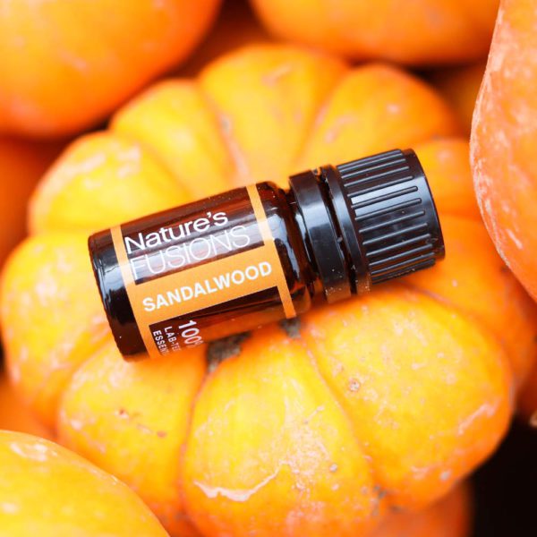 sandalwood essential oil bottle on stack of pumpkins