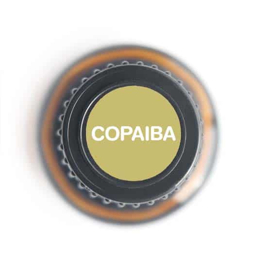 labeled top of copaiba bottle