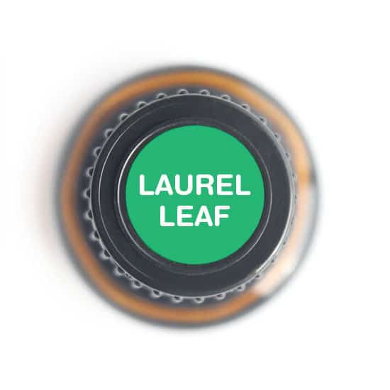 labeled top of laurel leaf bottle