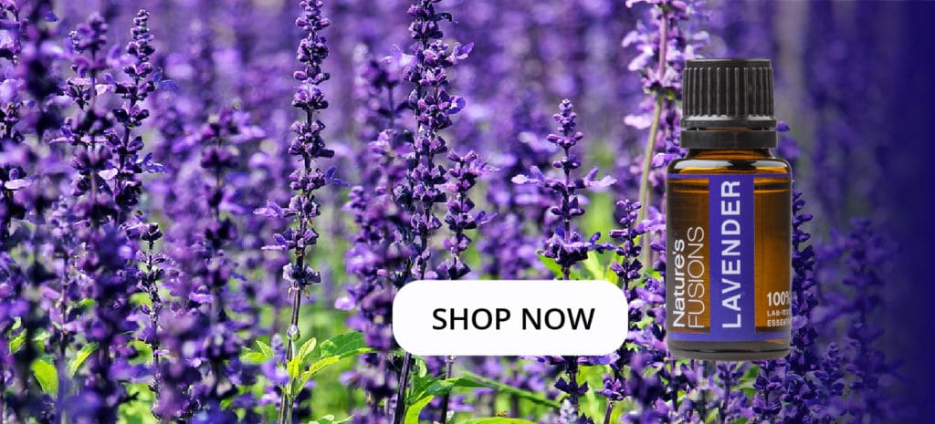 lavender flowers with oil bottle and clickable "SHOP NOW"