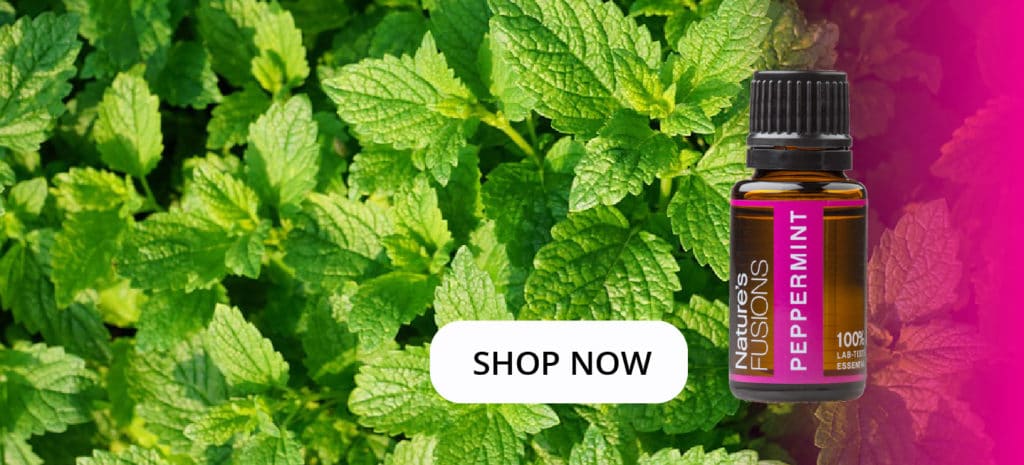 peppermint leaves with oil bottle and clickable "SHOP NOW"