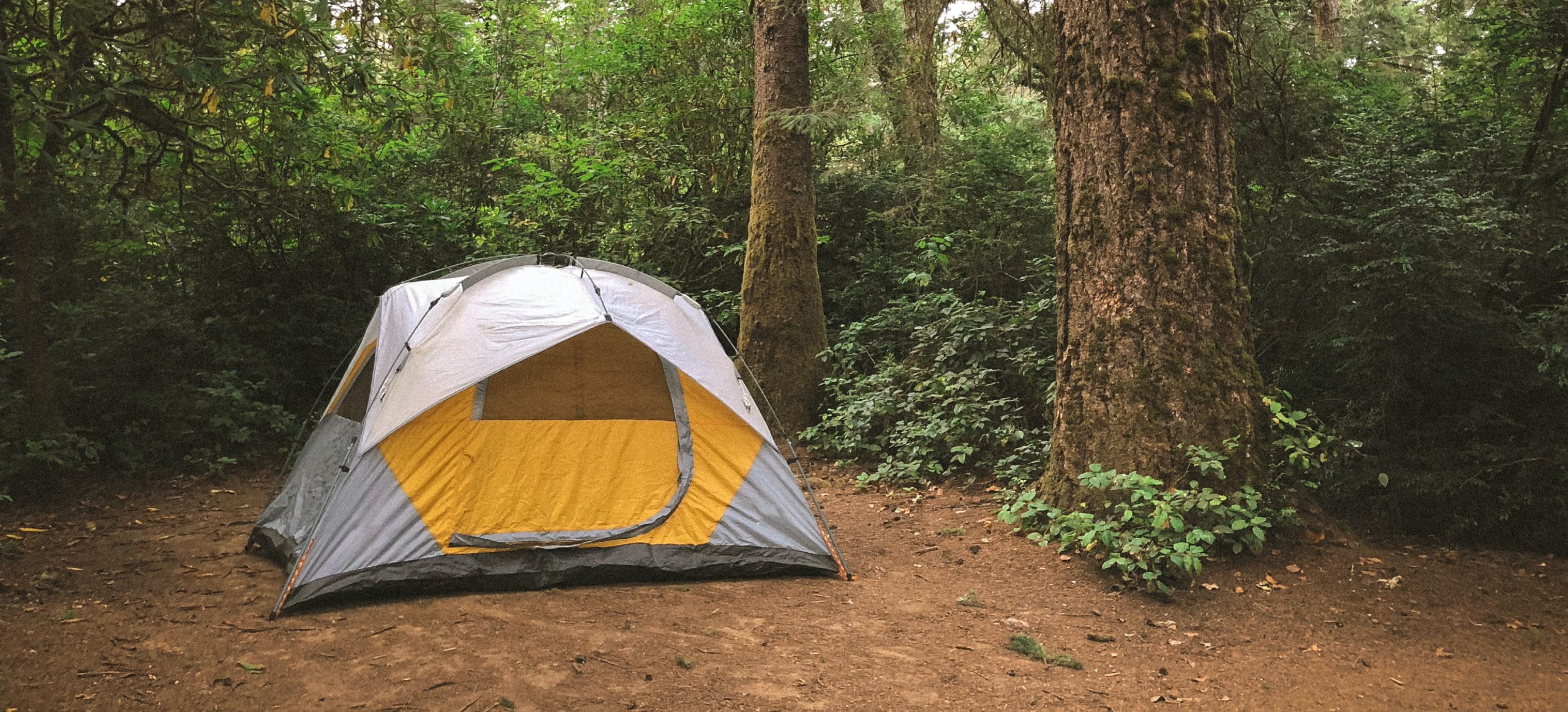 tent set up in a woodland clearing