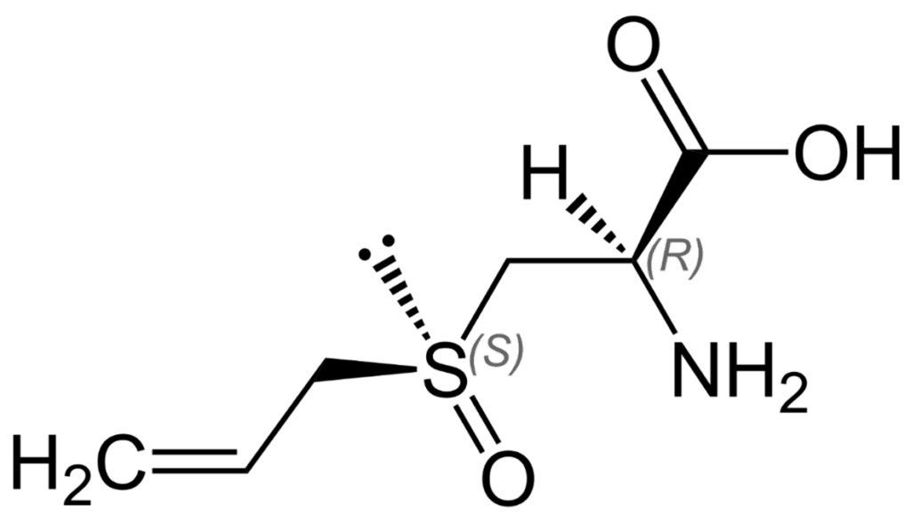 chemical structure of alliin