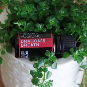 bottle of Dragon's Breath lying in a potted succulent