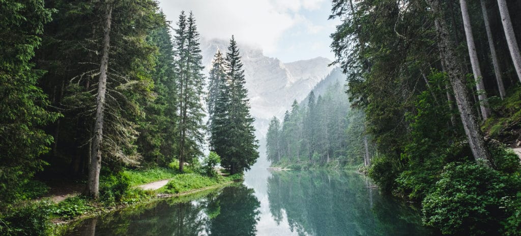 a river in a forested misty mountain