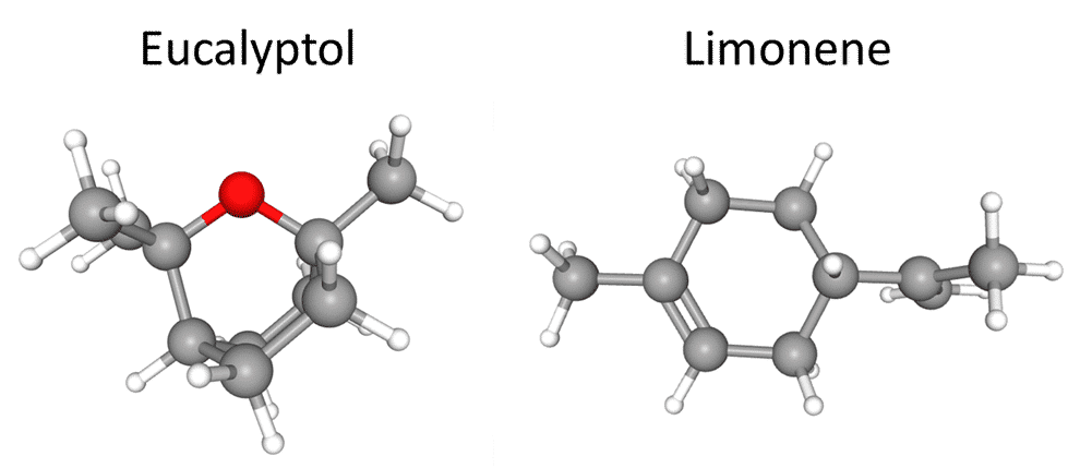 eucalyptol and limonene molecules