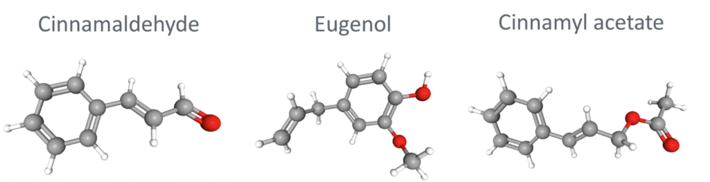 molecules