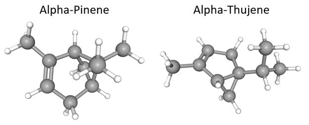 Frankincense image