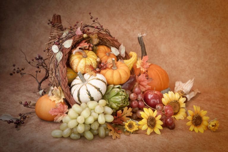 Cornucopia