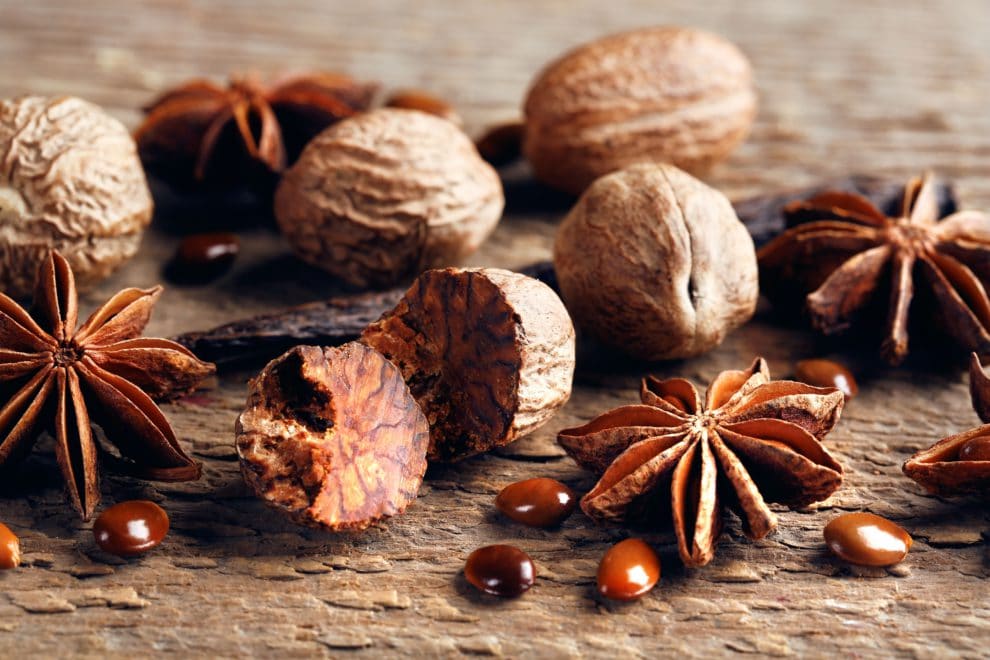Scent Spotlight Nutmeg Natures Fusions