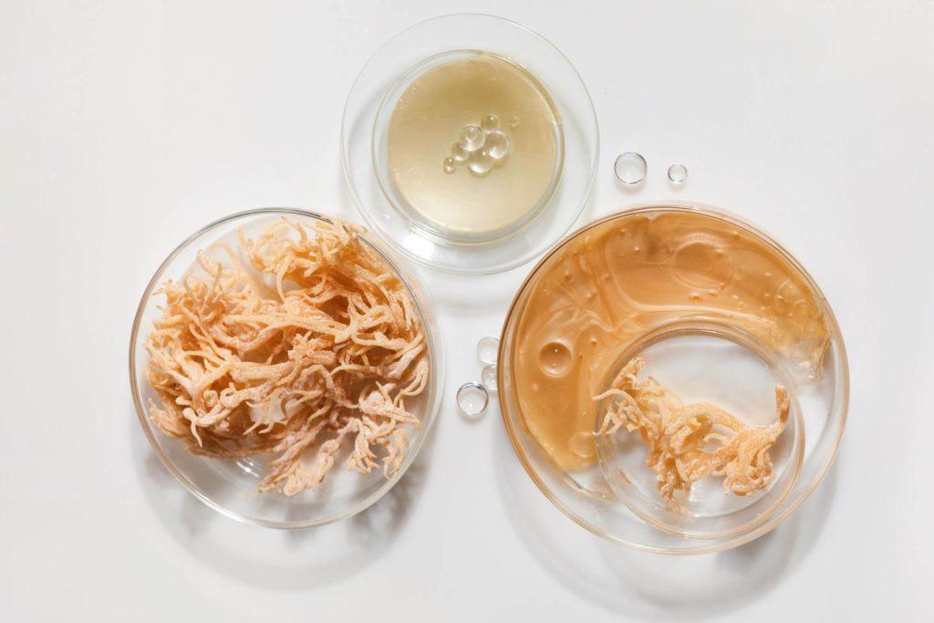 Sea Moss Health Benefits