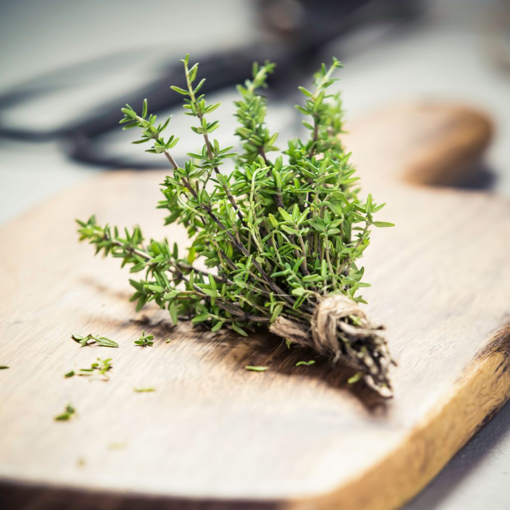 Thyme Essential Oil | Thyme Oil Uses and Benefits | Natures Fusions