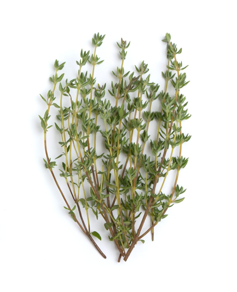 Thyme Essential Oil | Thyme Oil Uses and Benefits | Natures Fusions
