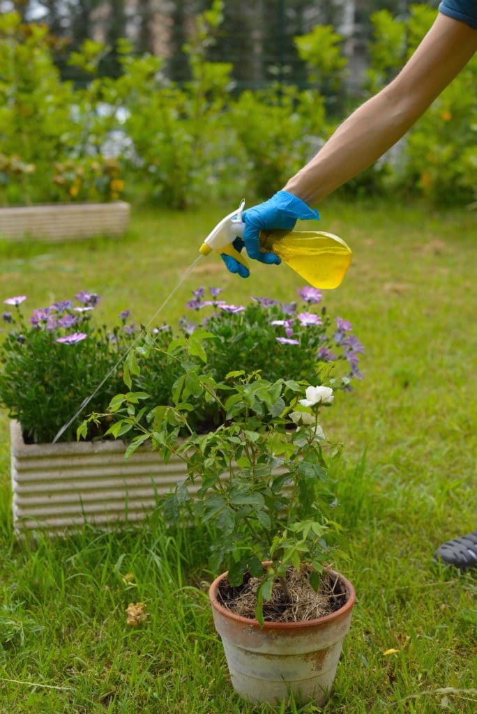 Garden Spray Pesticide Weed Killer