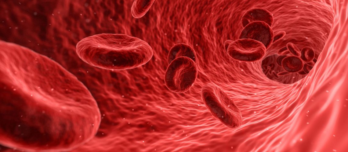 Blood Cells in Vein