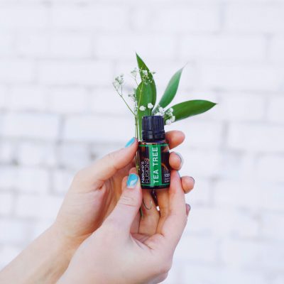 Tea Tree essential oil bottle in hands with green leaves and small flowers